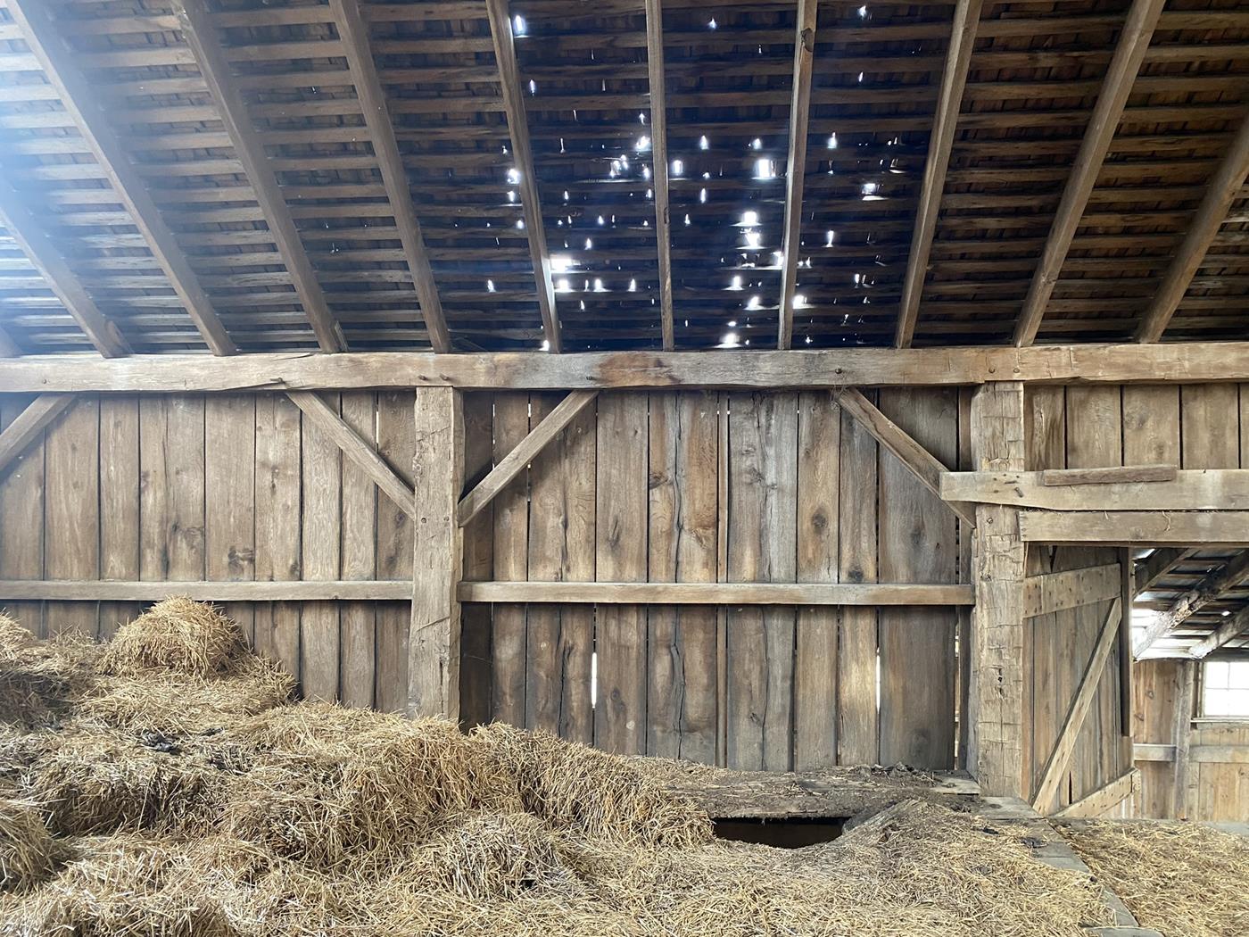 1880 Ned Repurposed Barn Frame 20